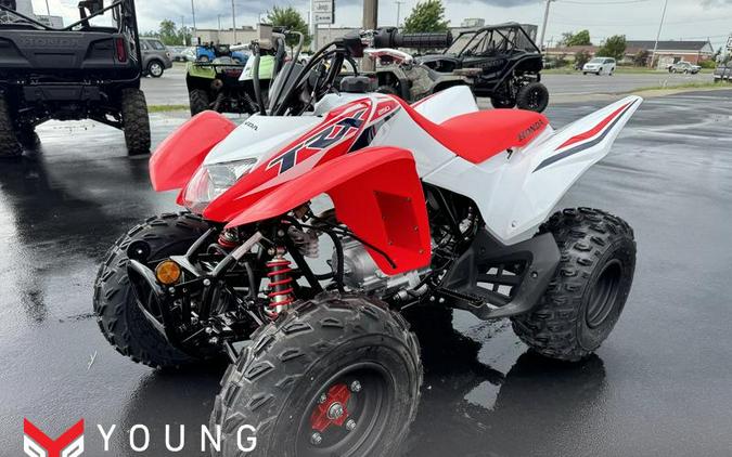 2024 Honda® TRX250X