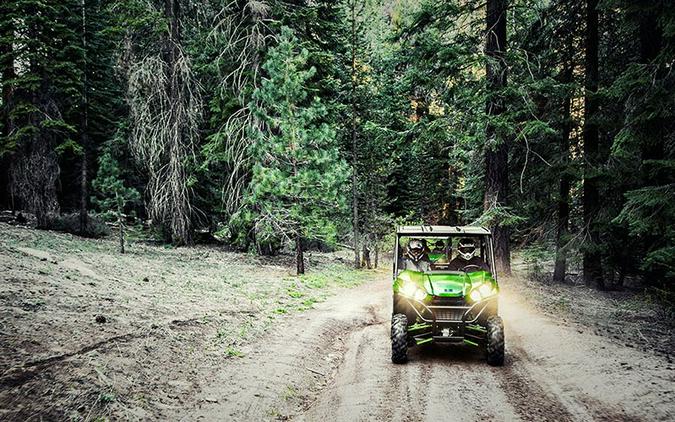 2017 Kawasaki Teryx LE