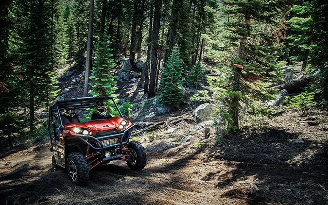 2017 Kawasaki Teryx LE
