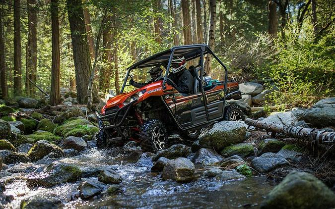 2017 Kawasaki Teryx LE