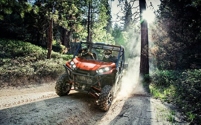 2017 Kawasaki Teryx LE