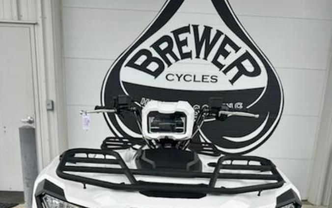 2025 Kawasaki Brute Force® 450 4x4