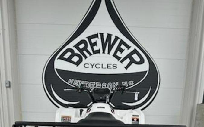 2025 Kawasaki Brute Force® 450 4x4