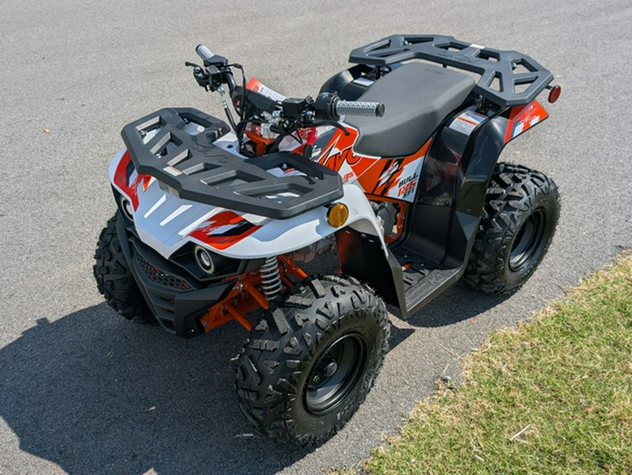 2026 Kayo Bull 125 EFI