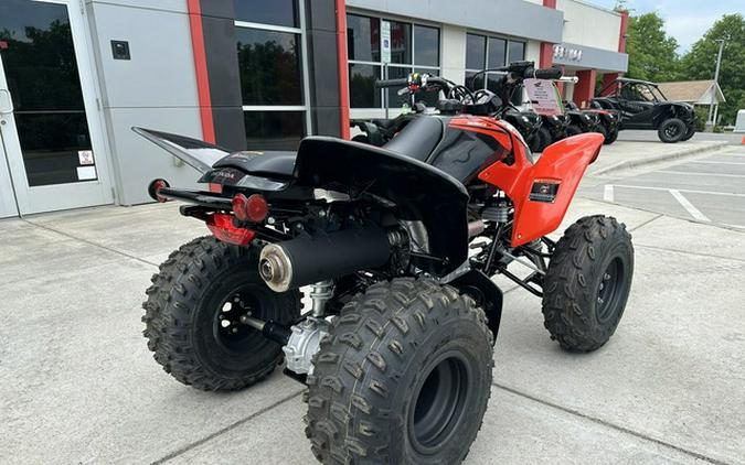 2024 Honda TRX250X