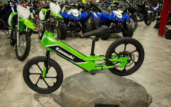 2023 Kawasaki Elektrode