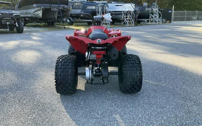 2027 Can-Am Renegade 110 EFI