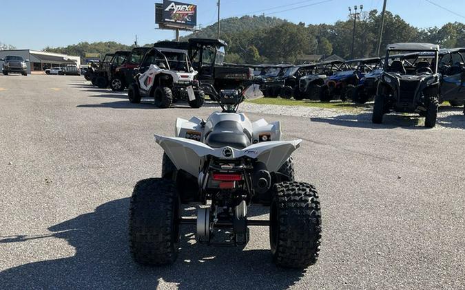2027 Can-Am Renegade 110 EFI