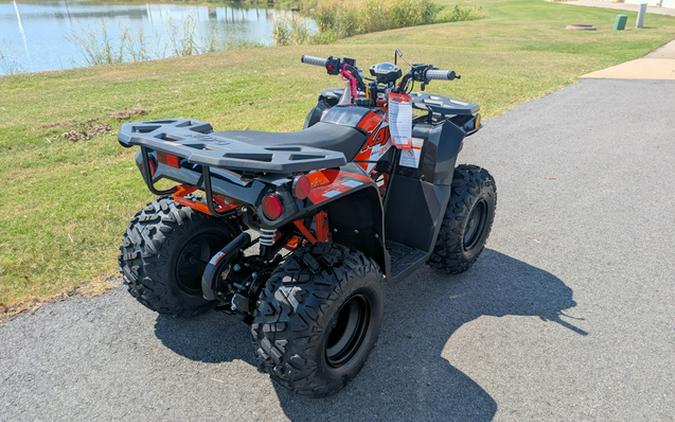 2026 Kayo Bull 125 EFI