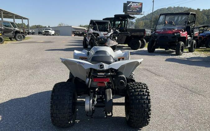2027 Can-Am Renegade 70 EFI