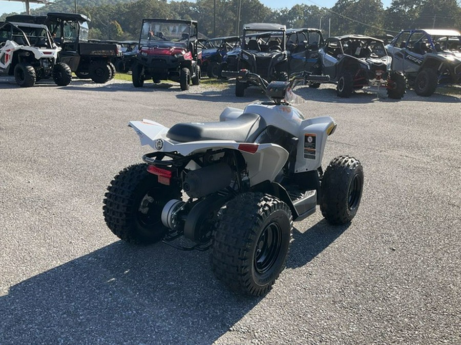 2027 Can-Am Renegade 70 EFI