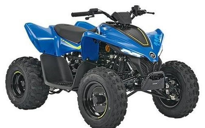 2023 CFMOTO CFORCE 110 CF110AY10