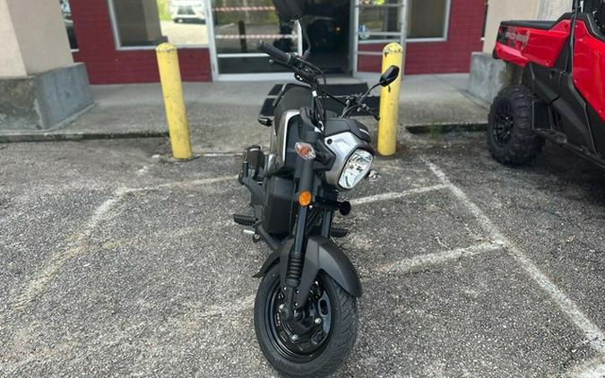 2024 Honda Navi Arctic Silver Metallic