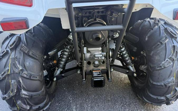 2025 Kawasaki Brute Force® 450 4x4