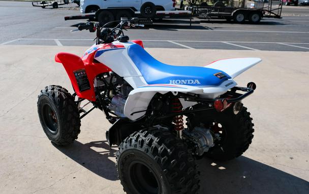 2026 HONDA TRX250X