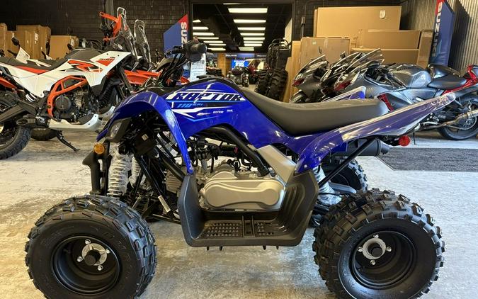 2026 Yamaha Raptor 110