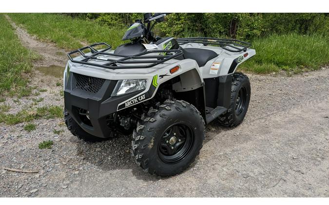 2024 Arctic Cat Alterra 450