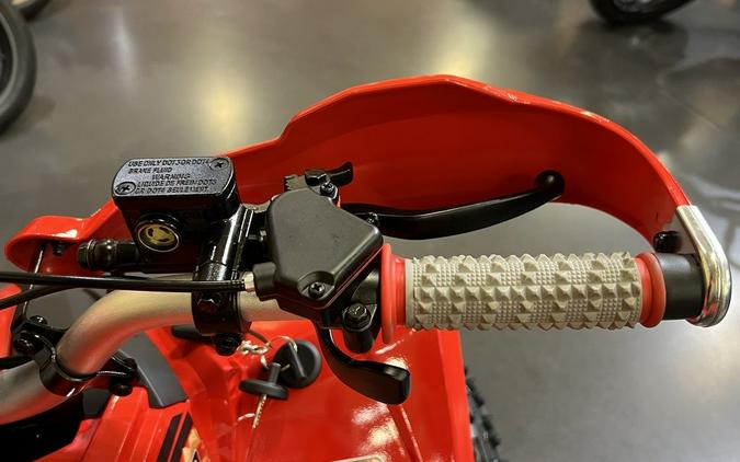 2026 Denago Powersports Trailhawk 10 FI