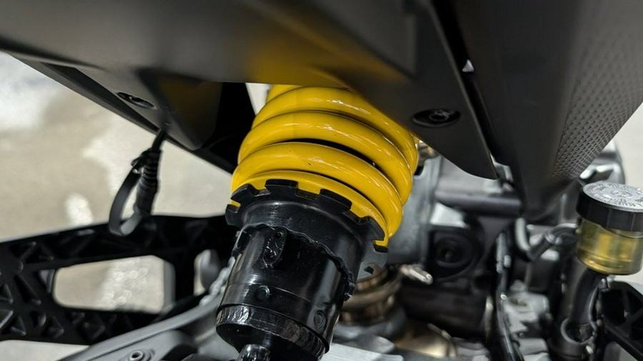 2025 Ducati MONSTER PLUS