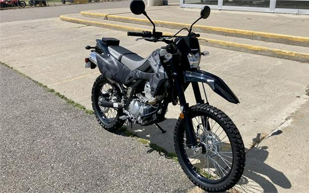 2024 Kawasaki KLX300