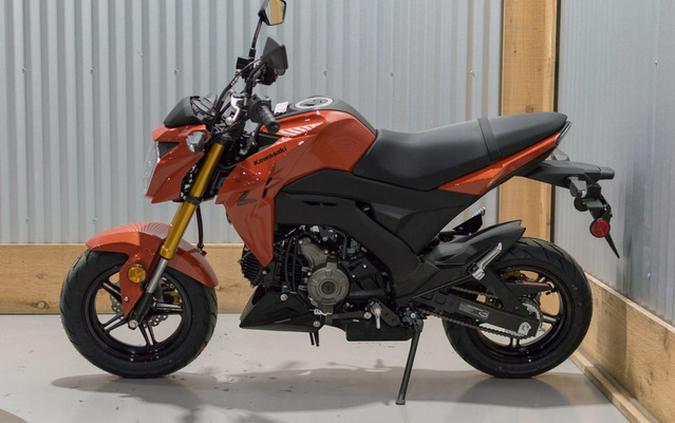 2025 Kawasaki Z125 PRO