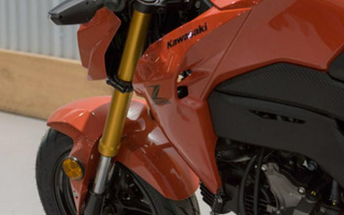 2025 Kawasaki Z125 PRO