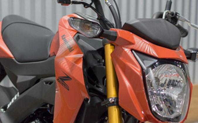 2025 Kawasaki Z125 PRO