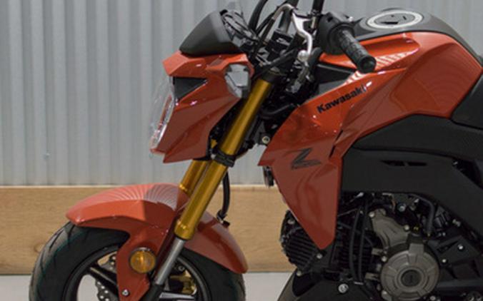 2025 Kawasaki Z125 PRO