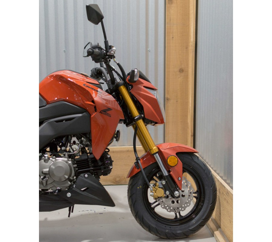2025 Kawasaki Z125 PRO