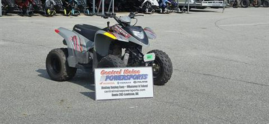 2019 Polaris Phoenix 200