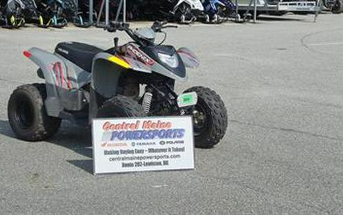 2019 Polaris Phoenix 200