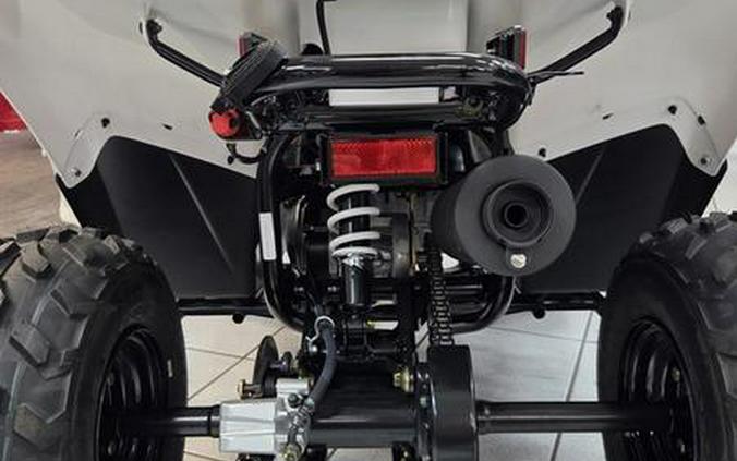 2026 Kawasaki KFX®50