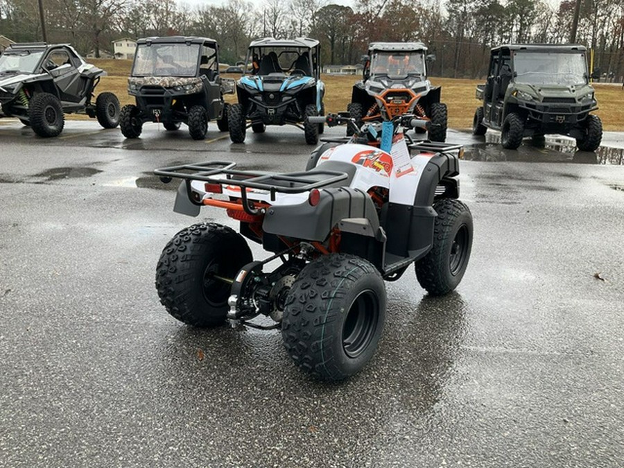 2026 Kayo Bull 150 EFI