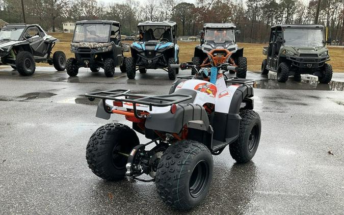 2026 Kayo Bull 150 EFI