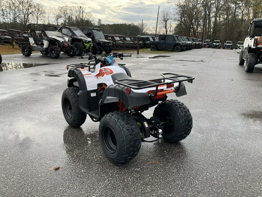 2026 Kayo Bull 150 EFI
