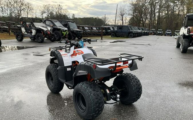 2026 Kayo Bull 150 EFI