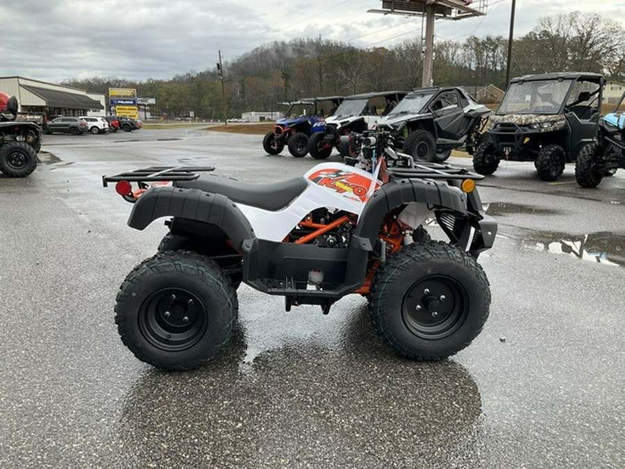 2026 Kayo Bull 150 EFI