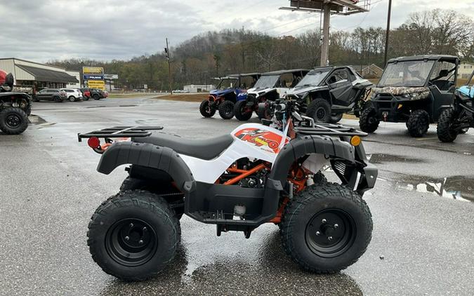 2026 Kayo Bull 150 EFI