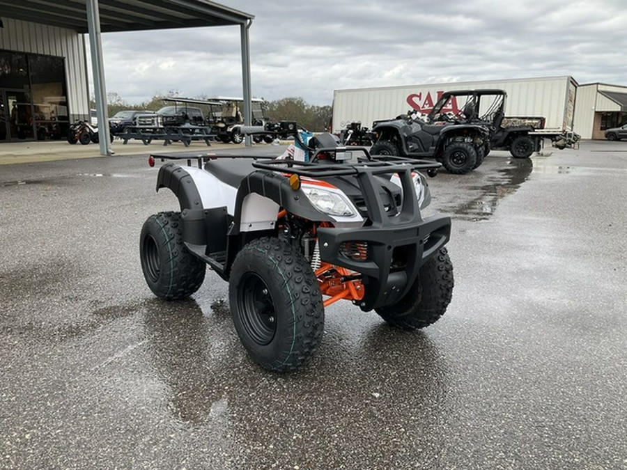 2026 Kayo Bull 150 EFI