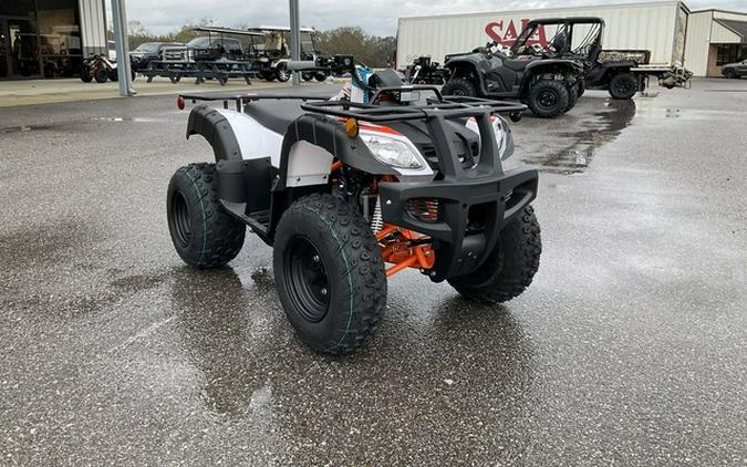 2026 Kayo Bull 150 EFI