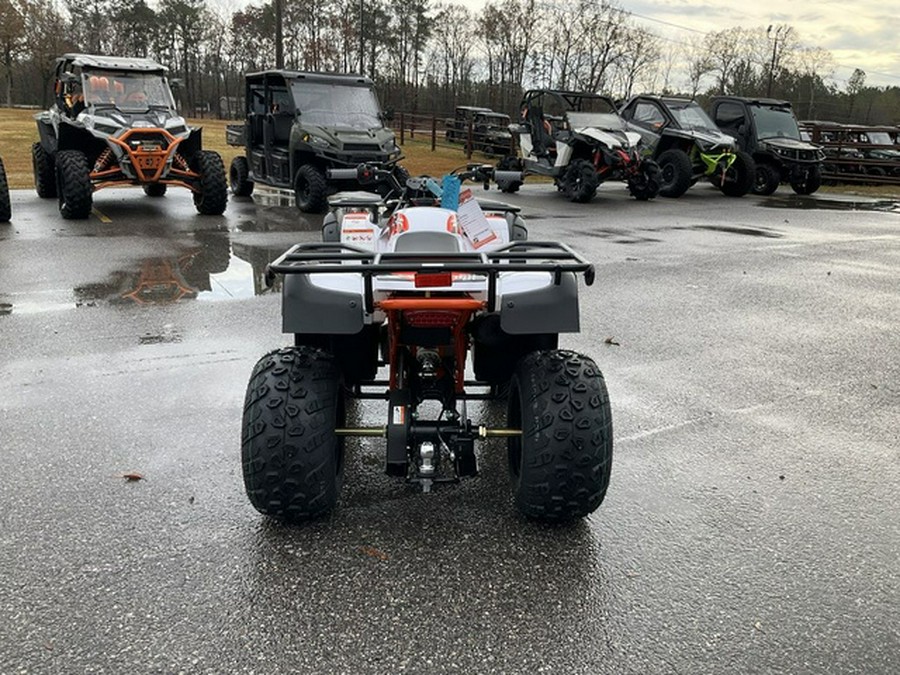2026 Kayo Bull 150 EFI