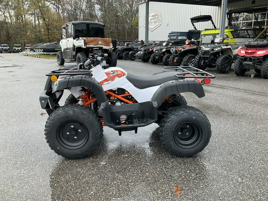 2026 Kayo Bull 150 EFI