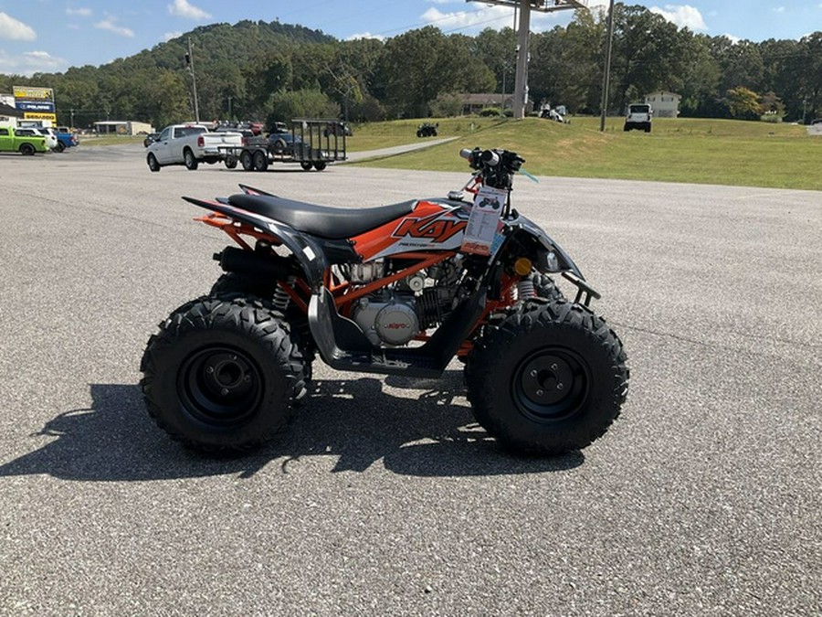 2026 Kayo Predator 110