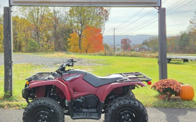 2020 Yamaha Kodiak 450