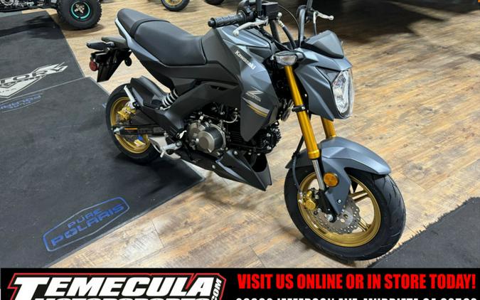 2024 Kawasaki Z125 PRO Base