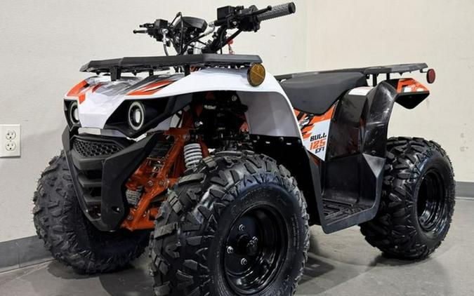 2026 Kayo Bull 125 EFI