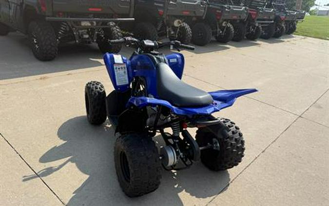 2025 Yamaha Raptor 110