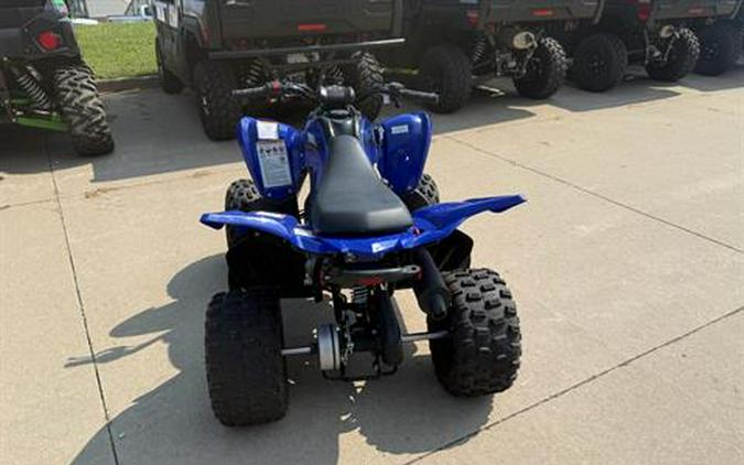 2025 Yamaha Raptor 110