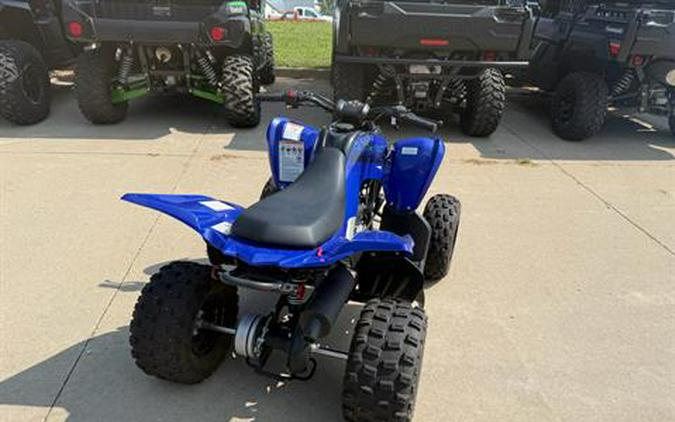 2025 Yamaha Raptor 110