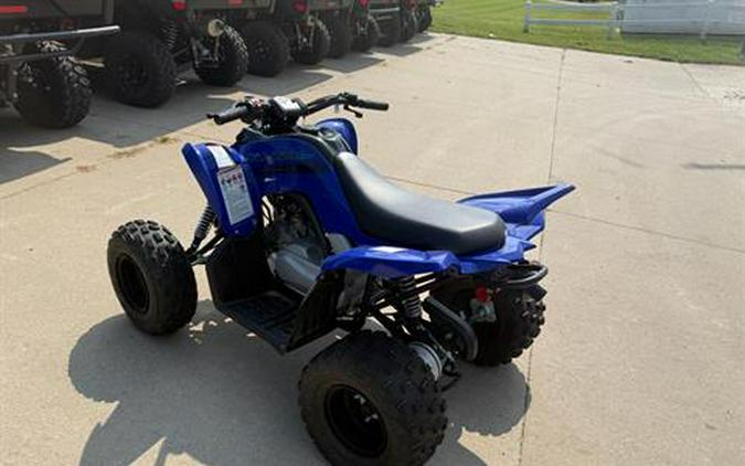 2025 Yamaha Raptor 110